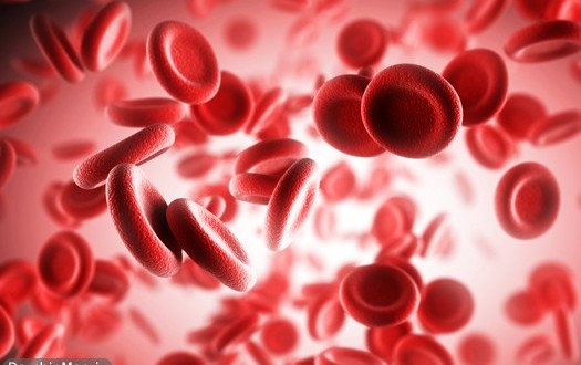 درمان کم خونی  از دیدگاه طب سنتی