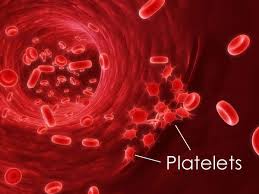 درمان پایین وبالابودن پلاکت خون