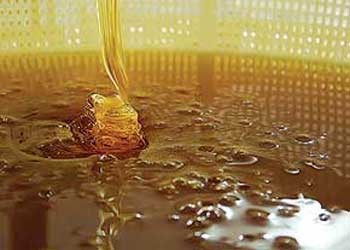 راه تشخیص عسل طبیعی از تقلبی چیست؟