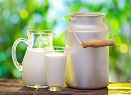 خواص لبنیات از منظر طب اسلامی شیر ، ماست ، پنیر