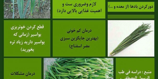 فوائد تره -خوراکی های مفید در طب اسلامی