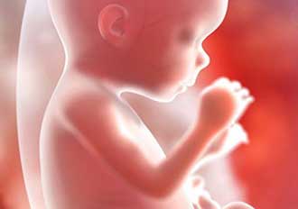 اختلالات جنین دربارداری