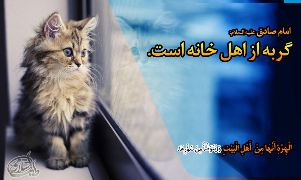 نگه-داری-گربه-طب-اسلامی (3)