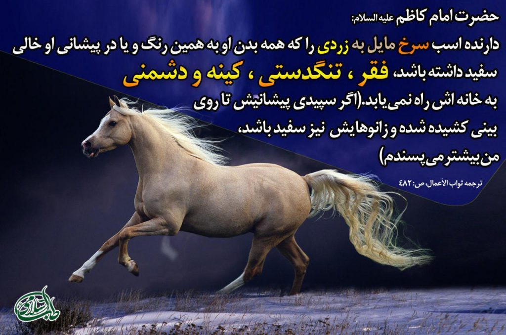 در طب اسلامی سوارکاری (Horseback riding)و فواید طبی آن -جایگاه اسب در سبک زندگی اسلامی