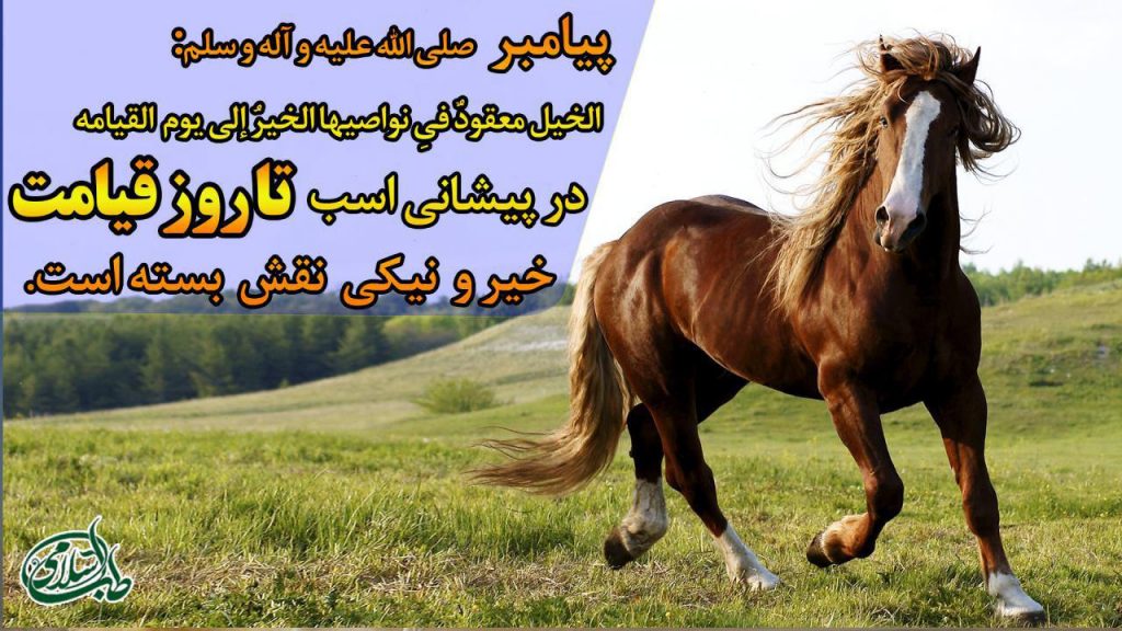 طب اسلامی سوارکاری (Horseback riding)و فواید طبی آن -جایگاه اسب در سبک زندگی اسلامی