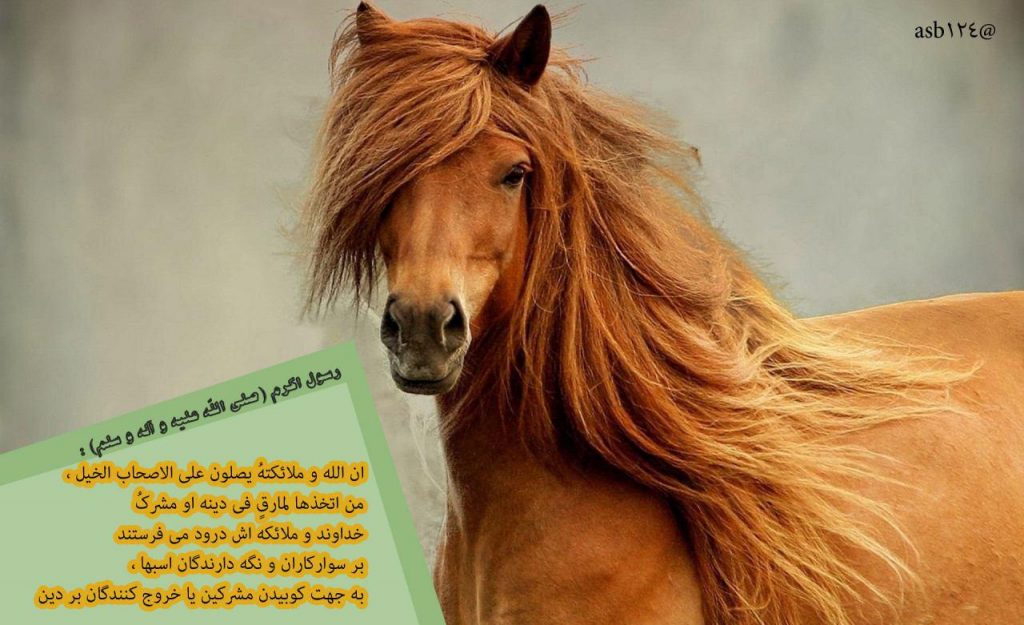 نگه داری اسب سوارکاری (Horseback riding)و فواید طبی آن -جایگاه اسب در سبک زندگی اسلامی