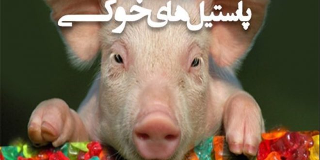 ژلاتین خوکی – پر کردن شکم ها از حرام!